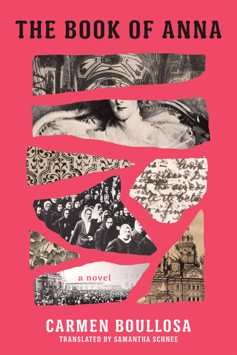 Cover image for book The Book of Anna