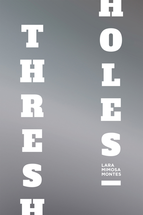 Cover image for book Thresholes