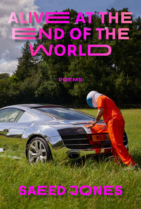 Cover image for book Alive at the End of the World