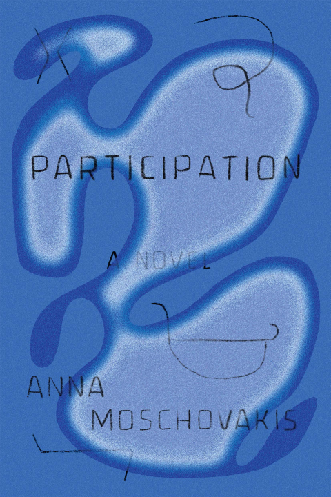 Cover image for book Participation