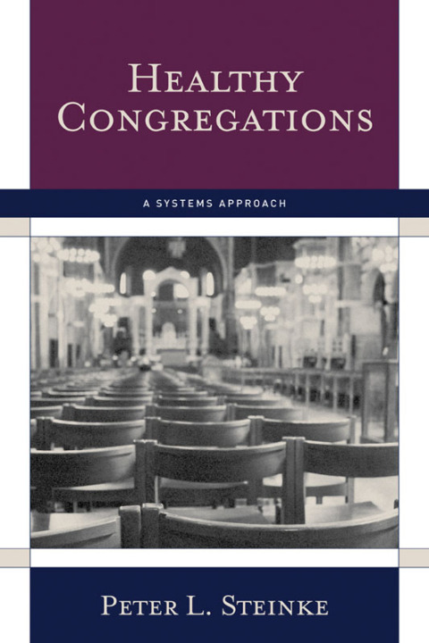 Cover image for book Healthy Congregations