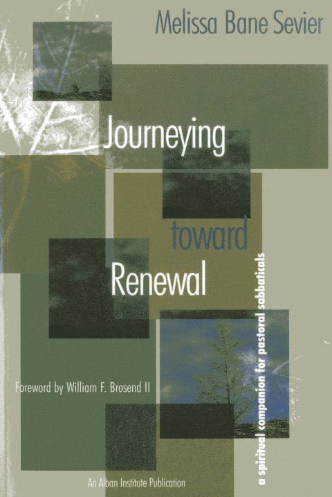 Cover image for book Journeying Toward Renewal