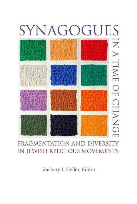 Cover image for book Synagogues in a Time of Change