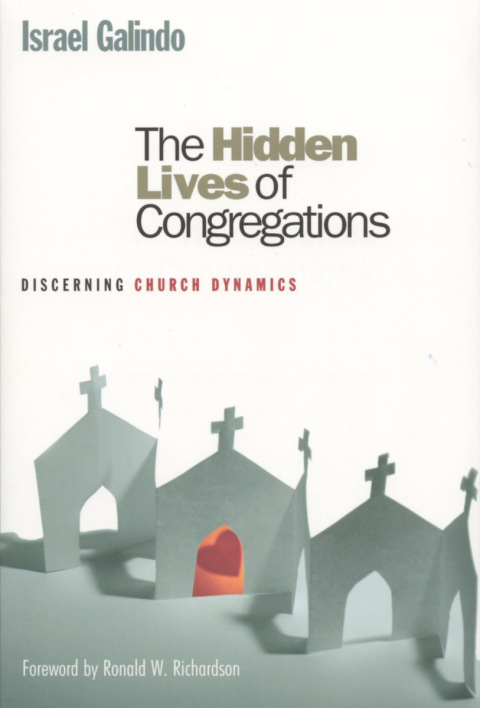 Cover image for book The Hidden Lives of Congregations