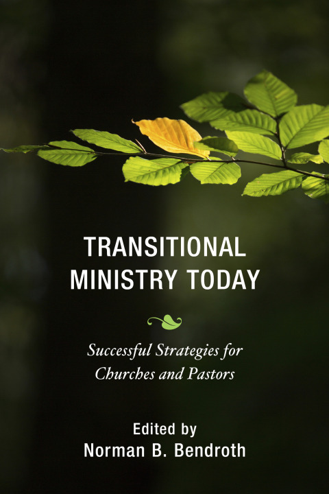 Transitional Ministry Today 