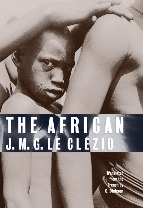 Cover image for book The African