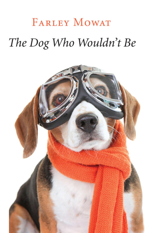 Cover image for book The Dog Who Wouldn't Be