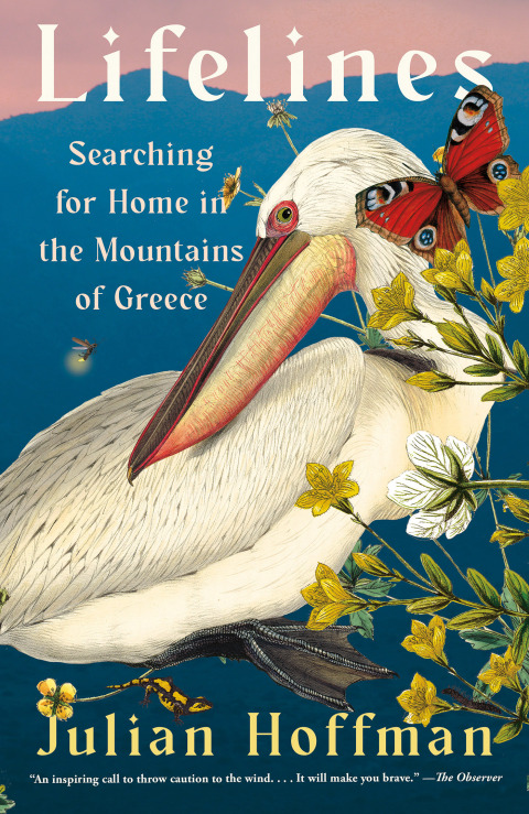 Cover image for book Lifelines