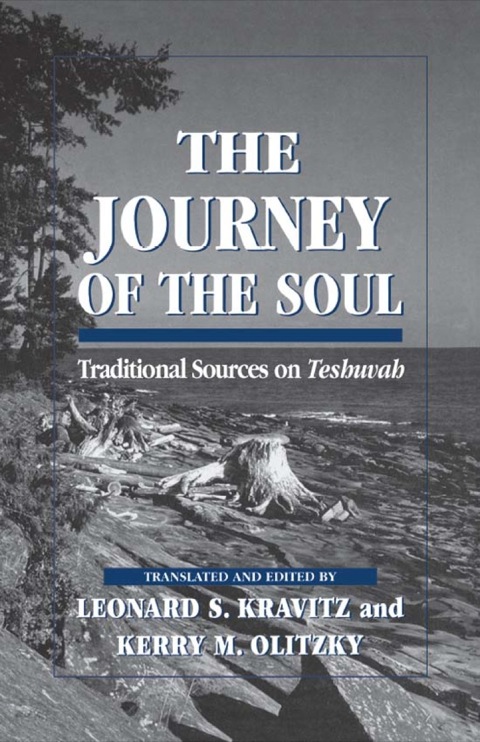 Cover image for book The Journey of the Soul
