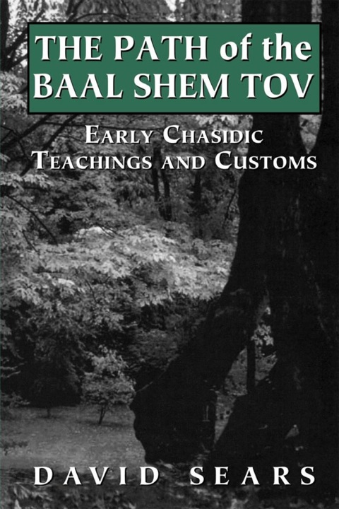 Cover image for book Path of the Baal Shem Tov