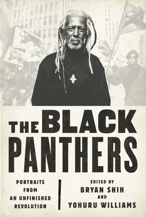Cover image for book The Black Panthers