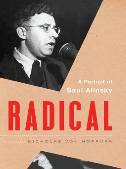 Cover image for book Radical