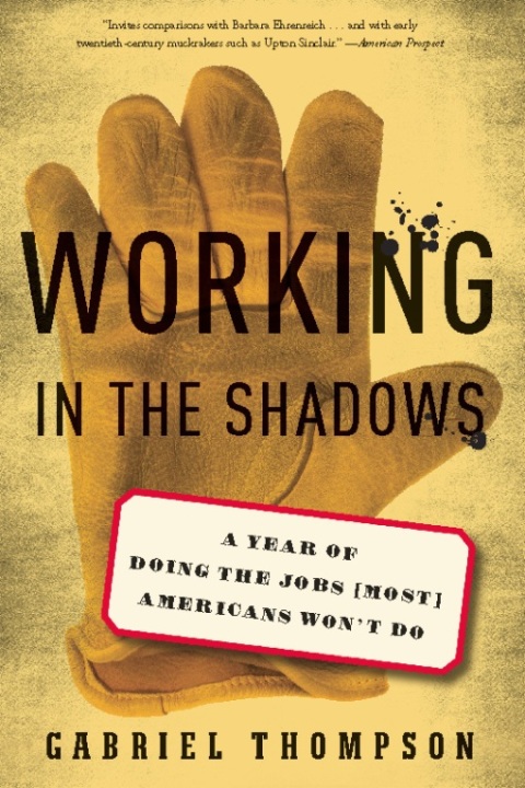 Cover image for book Working in the Shadows