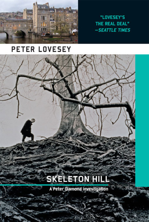Cover image for book Skeleton Hill