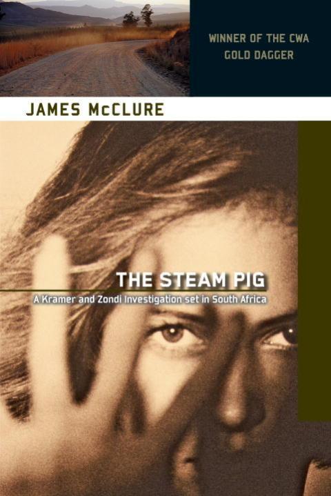 Cover image for book The Steam Pig