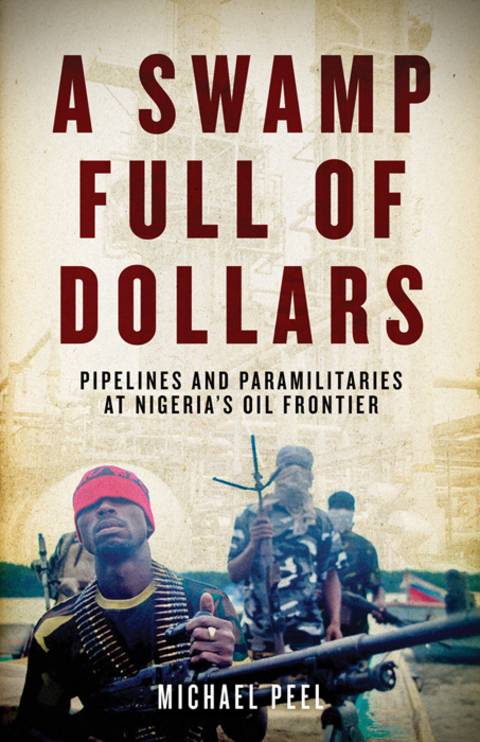 Cover image for book A Swamp Full of Dollars
