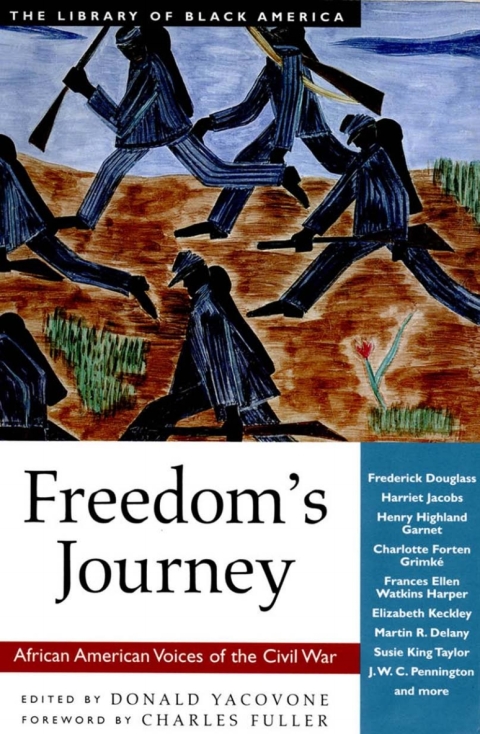 Cover image for book Freedom's Journey