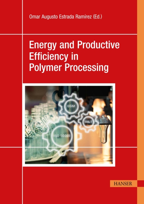 Cover image for book Energy and Productive Efficiency in Polymer Processing