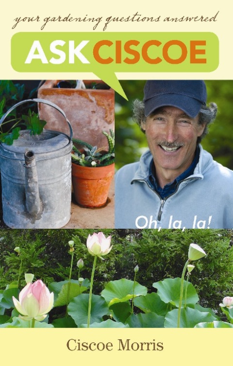 Cover image for book Ask Ciscoe