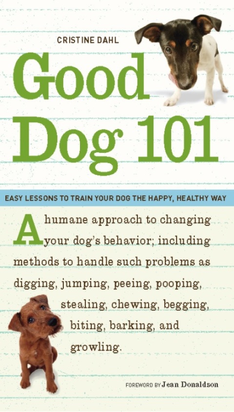 Cover image for book Good Dog 101