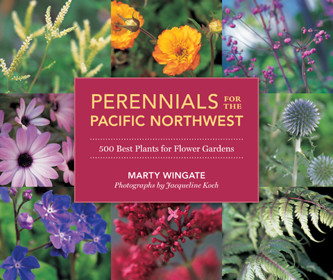 Cover image for book Perennials for the Pacific Northwest