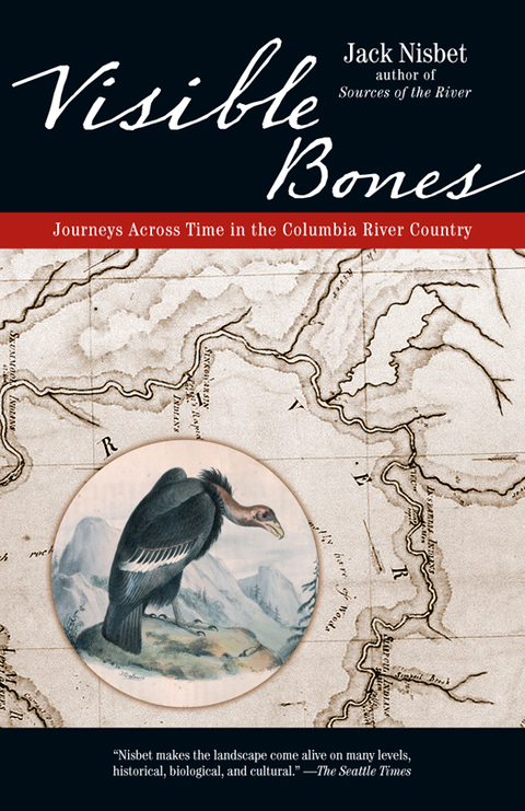 Cover image for book Visible Bones