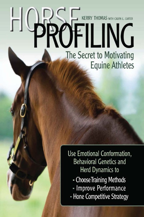 Horse Profiling: The Secret to Motivating Equine Athletes 