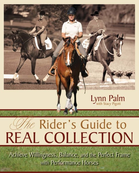 The Rider's Guide to Real Collection 