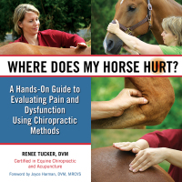 Cover image: Where Does My Horse Hurt? 9781570764868