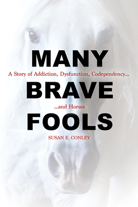 Cover image for book Many Brave Fools
