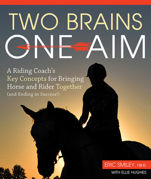 Cover image for book Two Brains, One Aim