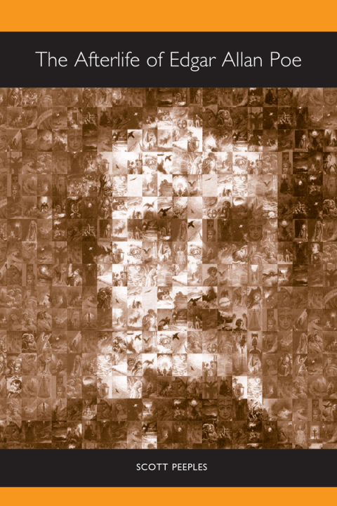 Cover image for book The Afterlife of Edgar Allan Poe