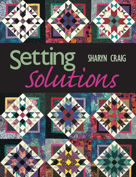 Cover image for book Setting Solutions