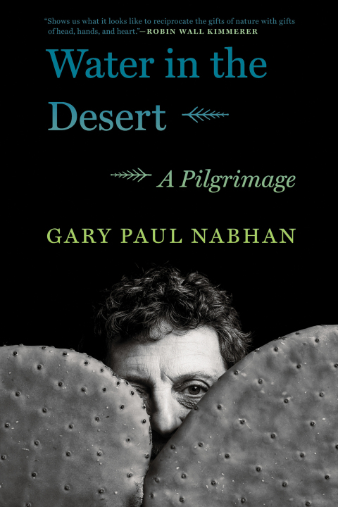 Cover image for book Water in the Desert