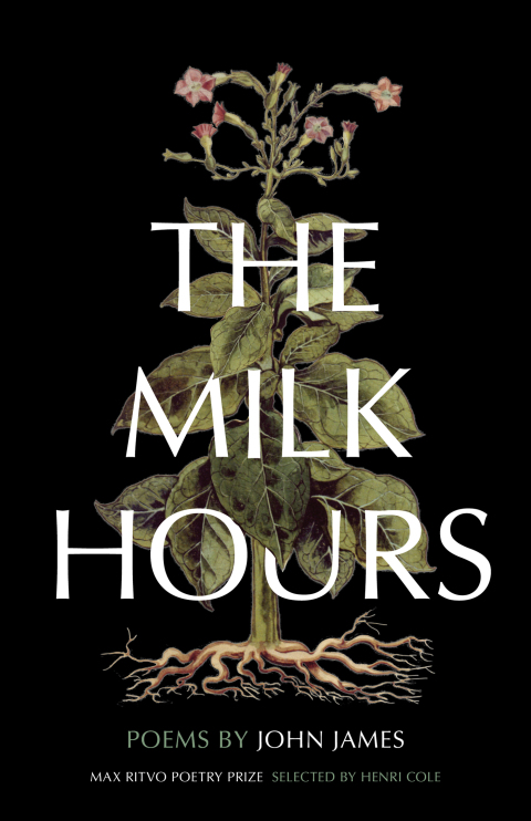 Cover image for book The Milk Hours