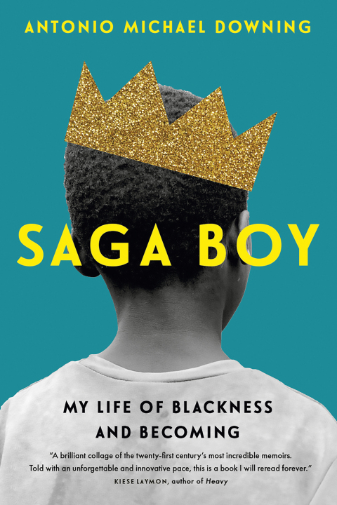 Cover image for book Saga Boy