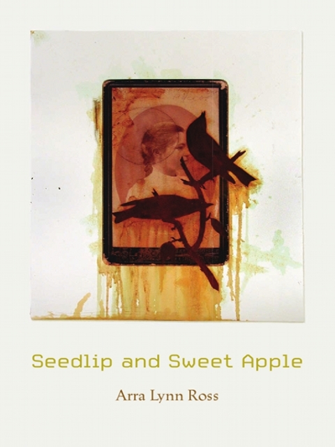 Cover image for book Seedlip and Sweet Apple