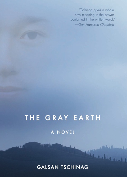 Cover image for book The Gray Earth