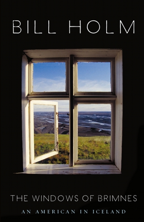 Cover image for book The Windows of Brimnes