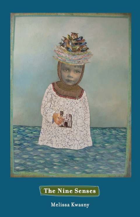 Cover image for book The Nine Senses