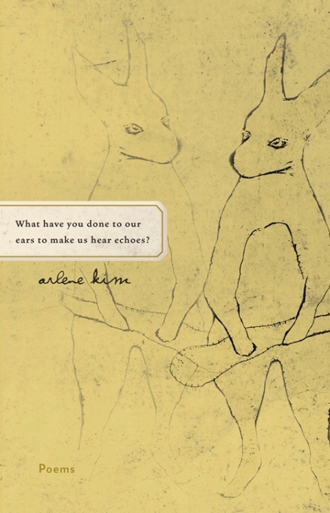 Cover image for book What have you done to our ears to make us hear echoes?