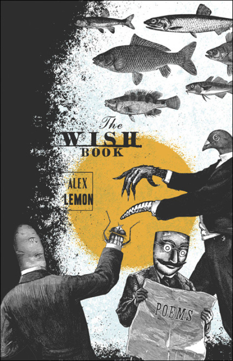 Cover image for book The Wish Book