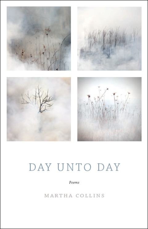 Cover image for book Day Unto Day