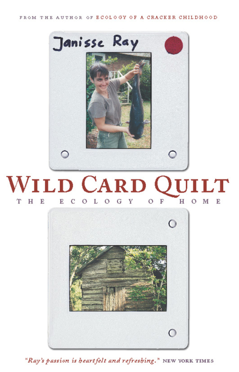 Cover image for book Wild Card Quilt