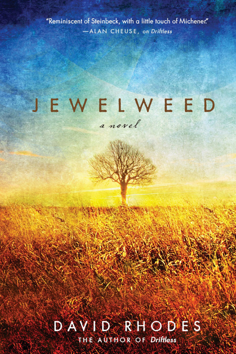 Cover image for book Jewelweed