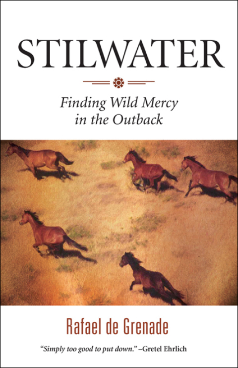 Cover image for book Stilwater