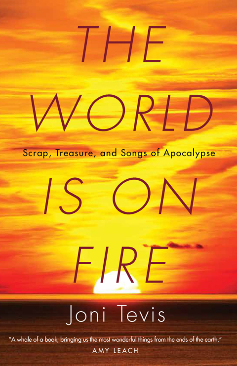 Cover image for book The World Is on Fire