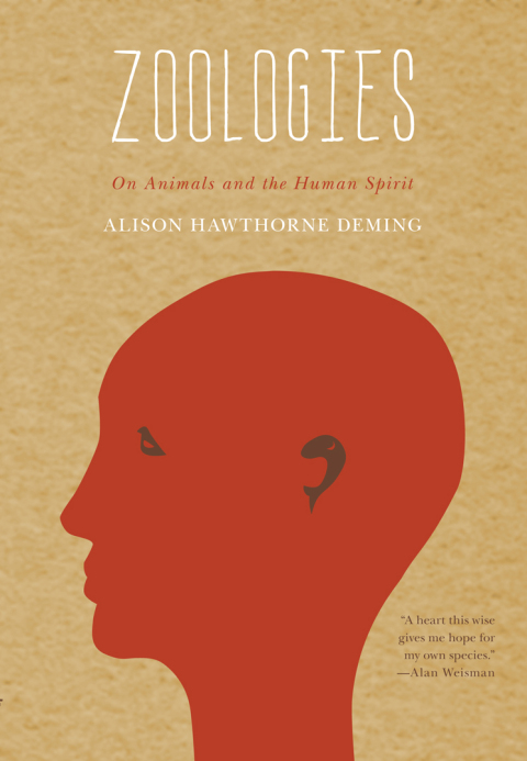 Cover image for book Zoologies