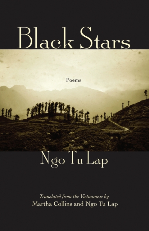Cover image for book Black Stars