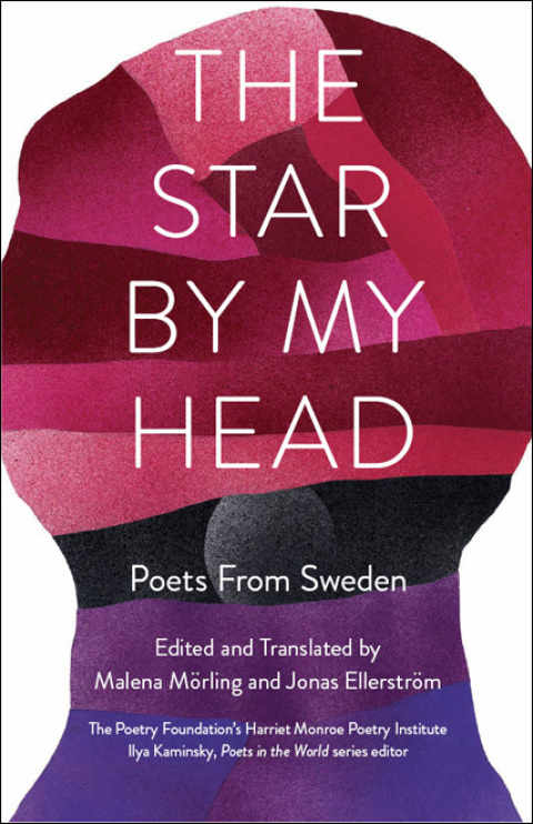 Cover image for book The Star by My Head